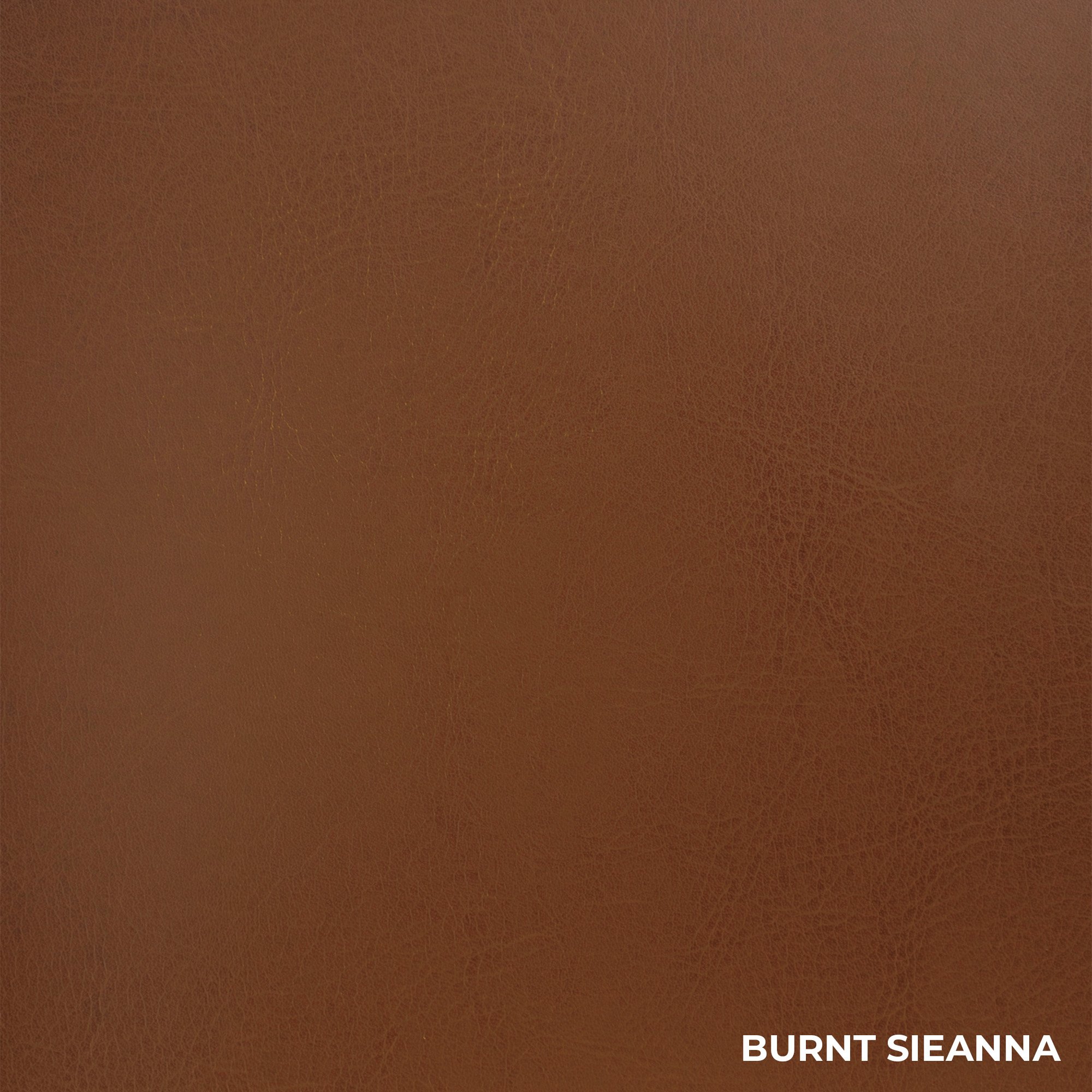 Burnt Sienna Leather-Like Material for your restaurants new acquistion.