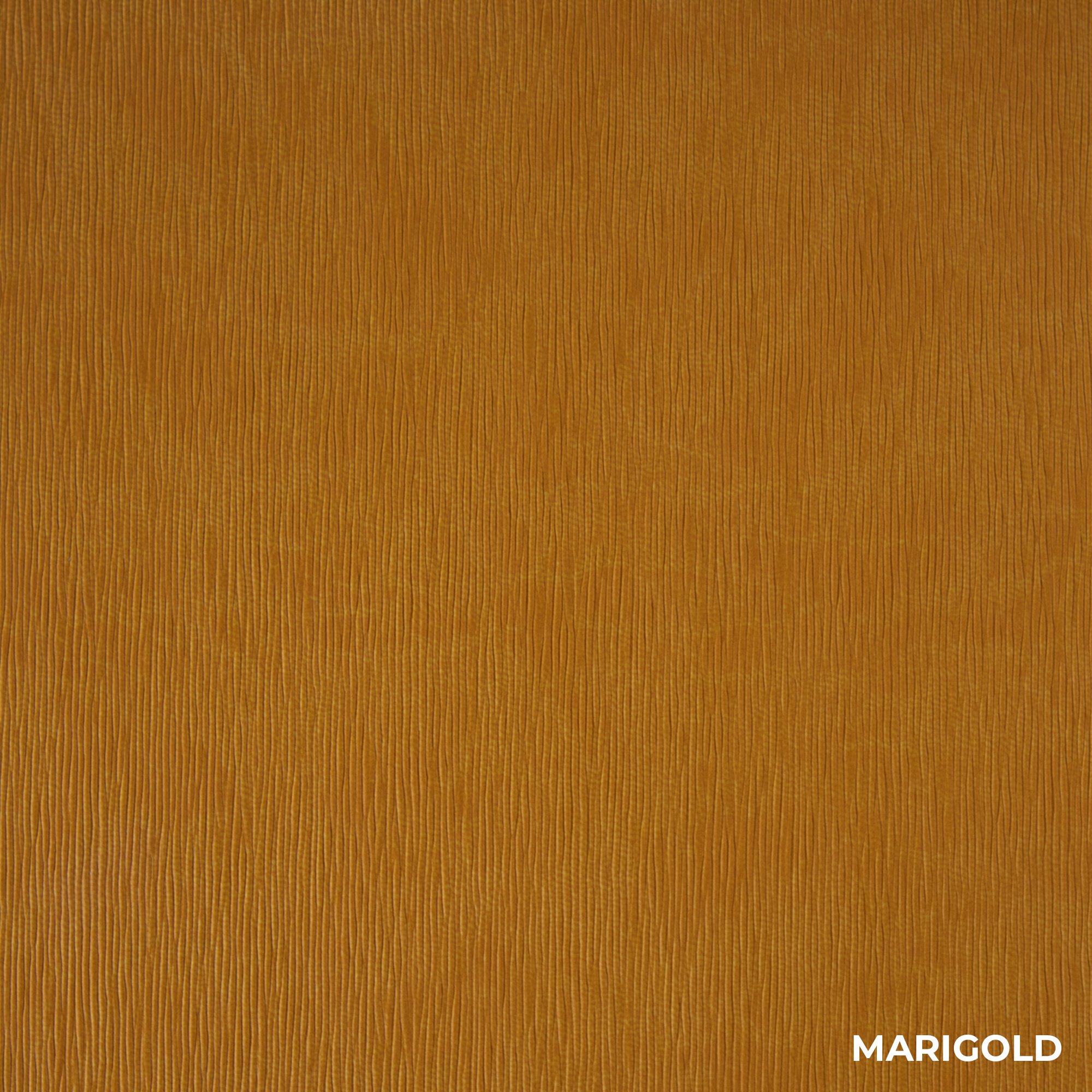 Marigold